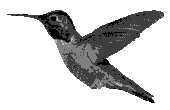 Agentbird